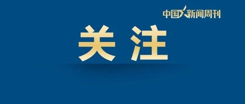 大疆 Osmo Pocket 4P 开售秒空，官方报警抓捕黄牛 配图