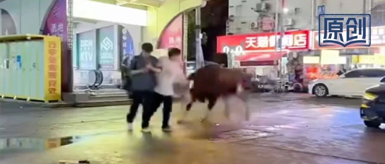 长沙地铁口黄牛撞伤3人后被宰杀，官方称“注水致应激”说法不实 配图