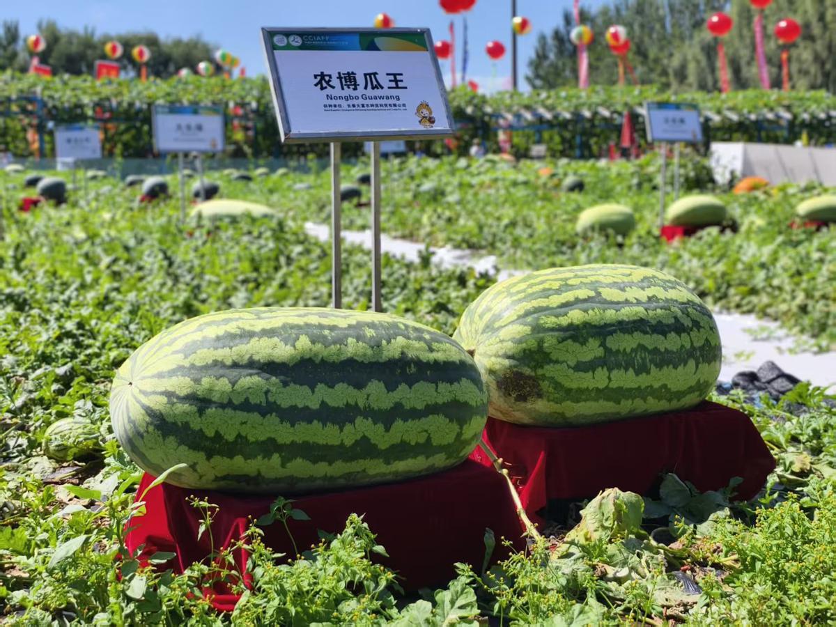 第25届中国长春国际农业食品博览交易会开幕 配图