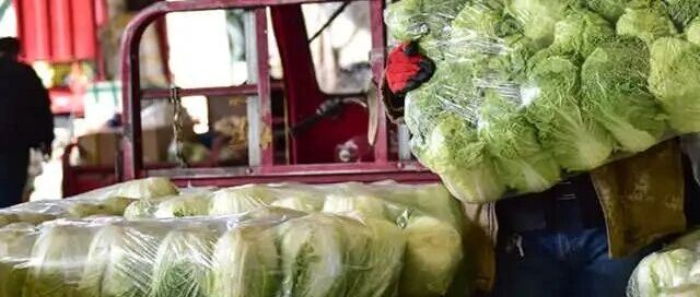 多地食品安全事件反复曝出,监管需从“打地鼠”转向源头治理 配图