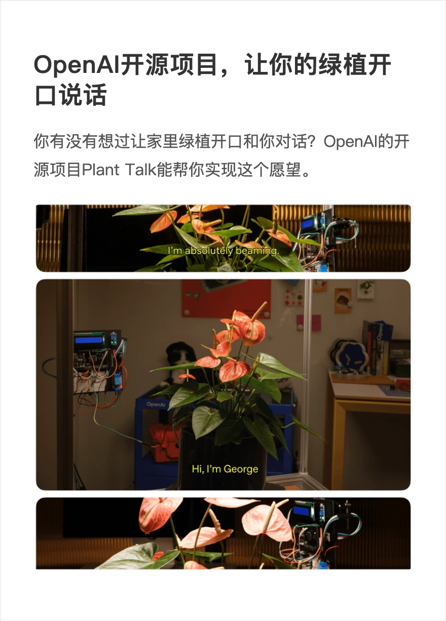OpenAI开源 Plant Talk，用摄像头和传感器让植物“开口”互动 配图