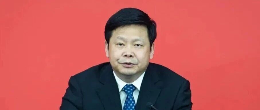 陈新武当选重庆市人民政府市长 配图