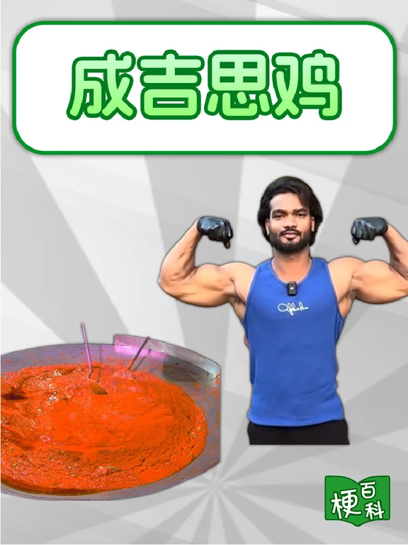 梗百科科普网络热梗“成吉思鸡” 配图